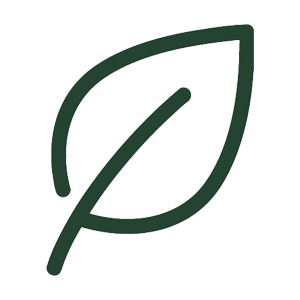 live-new-life-icon